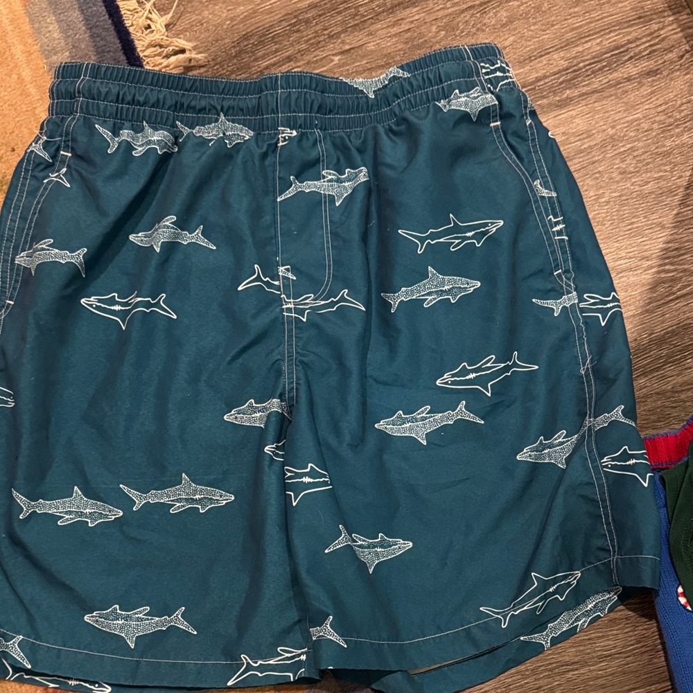 Shark Print Swim Trunks for Men